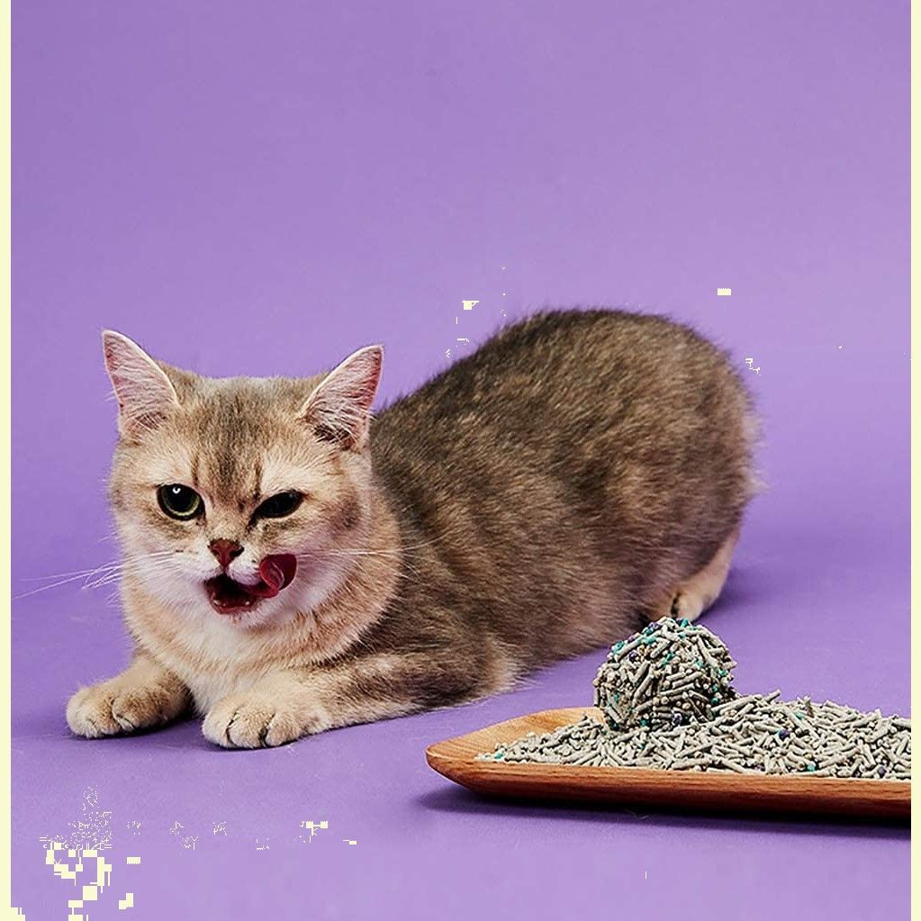 脱臭 猫砂