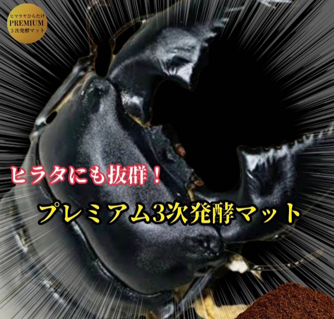 特大サイズ1500mlクリアボトル入り プレミアム3次発酵マット【2本