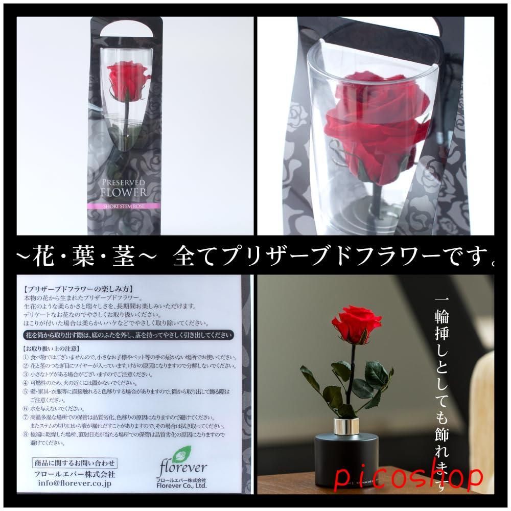 花 女性