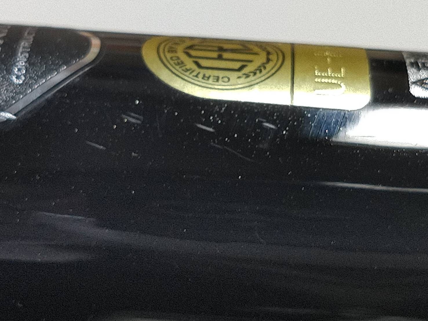 激流 尺鮎