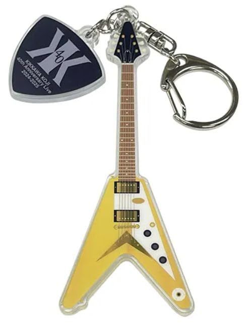 フルアコエレキギター 美品！美しい木目！ビグスビーアーム フルアコエレキギター 美品！美しい木目！ビグスビーアーム - メルカリ