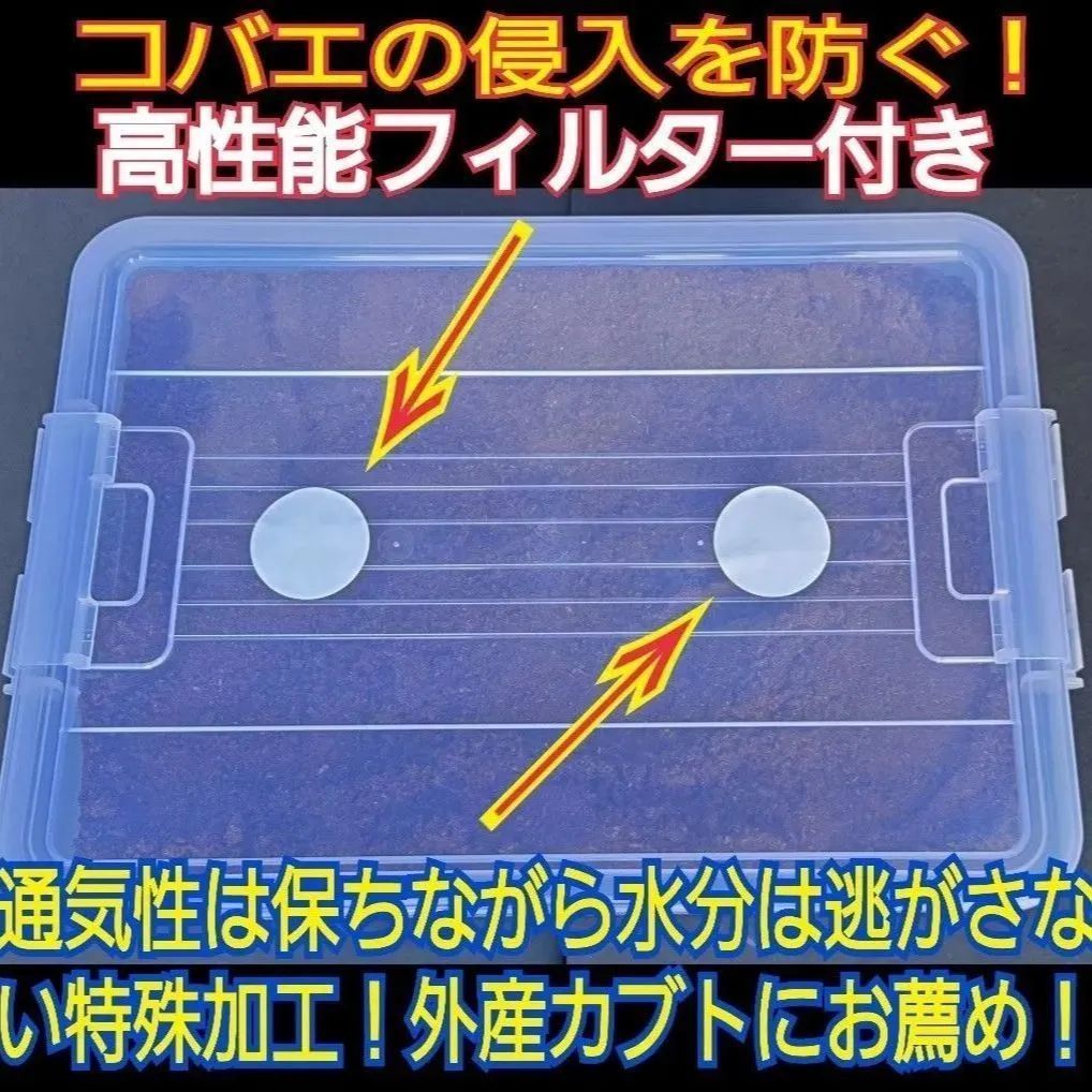 特大ケース付き☆プレミアム発酵マット20L入り☆カブトムシ幼虫を入れるだけ！便利！大型成虫羽化できます！コバエ防止特殊フィルター付き