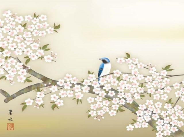桜と小鳥の図 掛軸 掛け軸 桜花 緒方葉水 掛軸 絵画 桜 春 種類