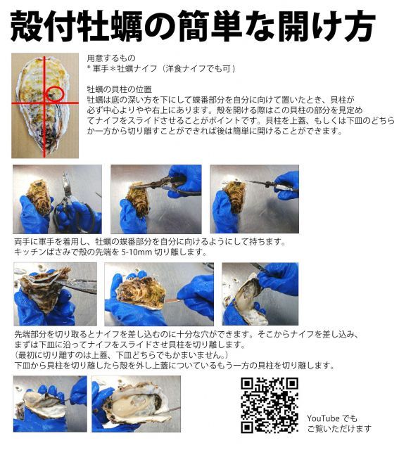 確実な 種類2 14kg 牡蠣 殻付き牡蠣 宮城県産