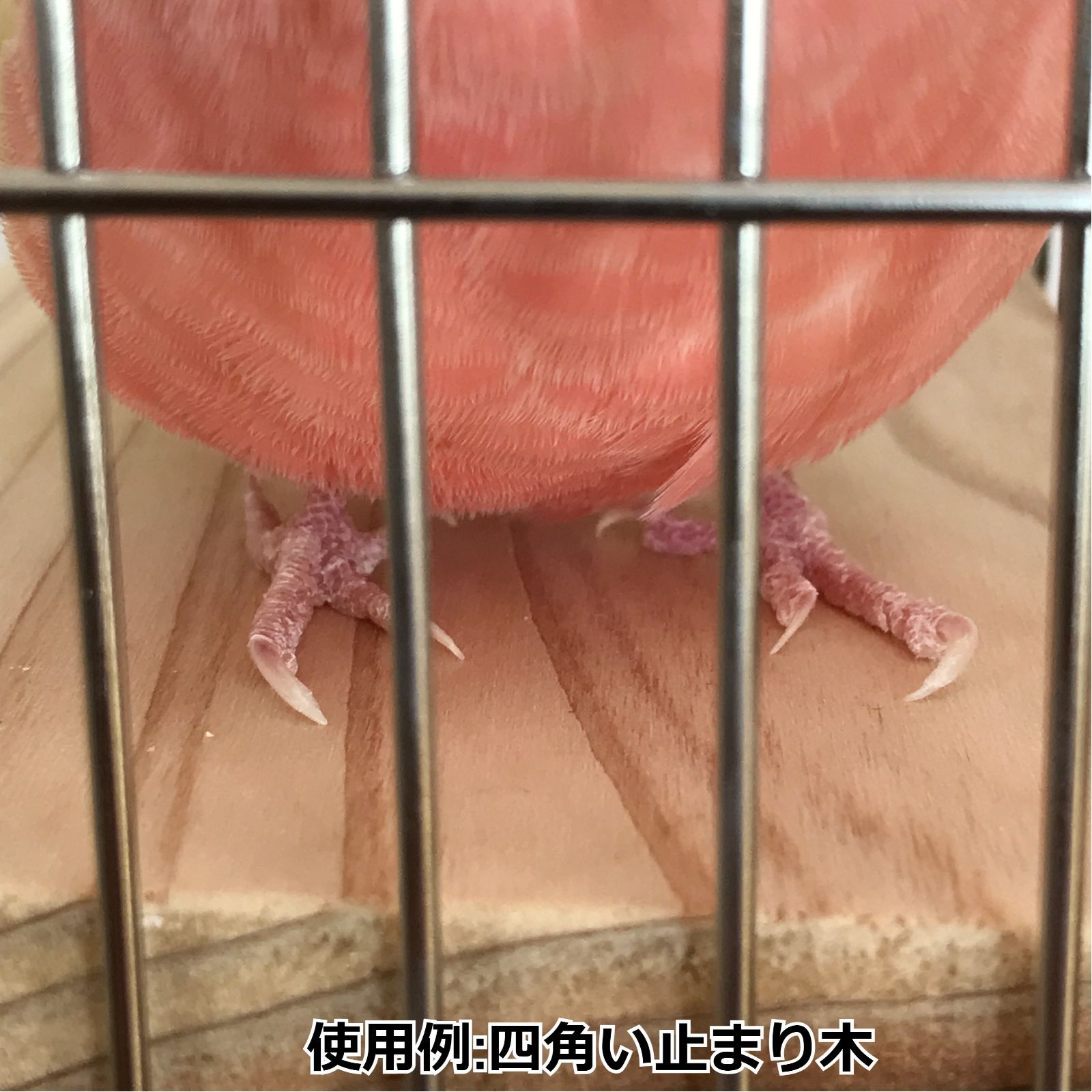 長方形止まり木(15×9センチ) インコ・小動物用ステップ - 鳥用品