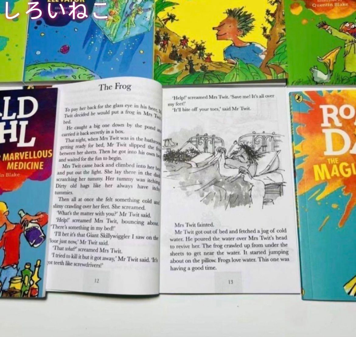 工場直売 新品未開封】Roald DAHL collection 20冊 洋書 英語 - メルカリ 洋書