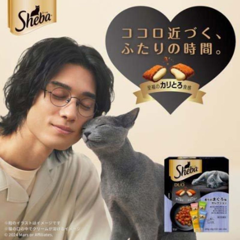 三毛猫