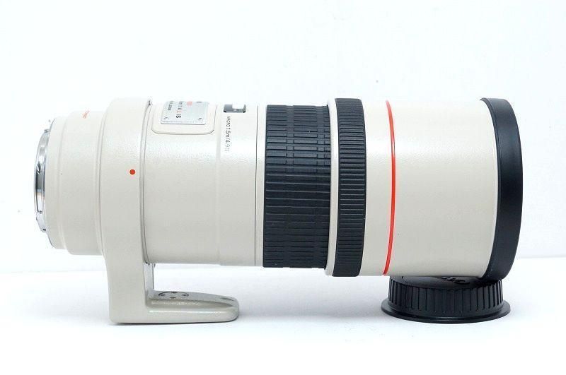 ❤️憧れの白レンズ❤️キヤノン EF 300mm f4L IS USM❤️-