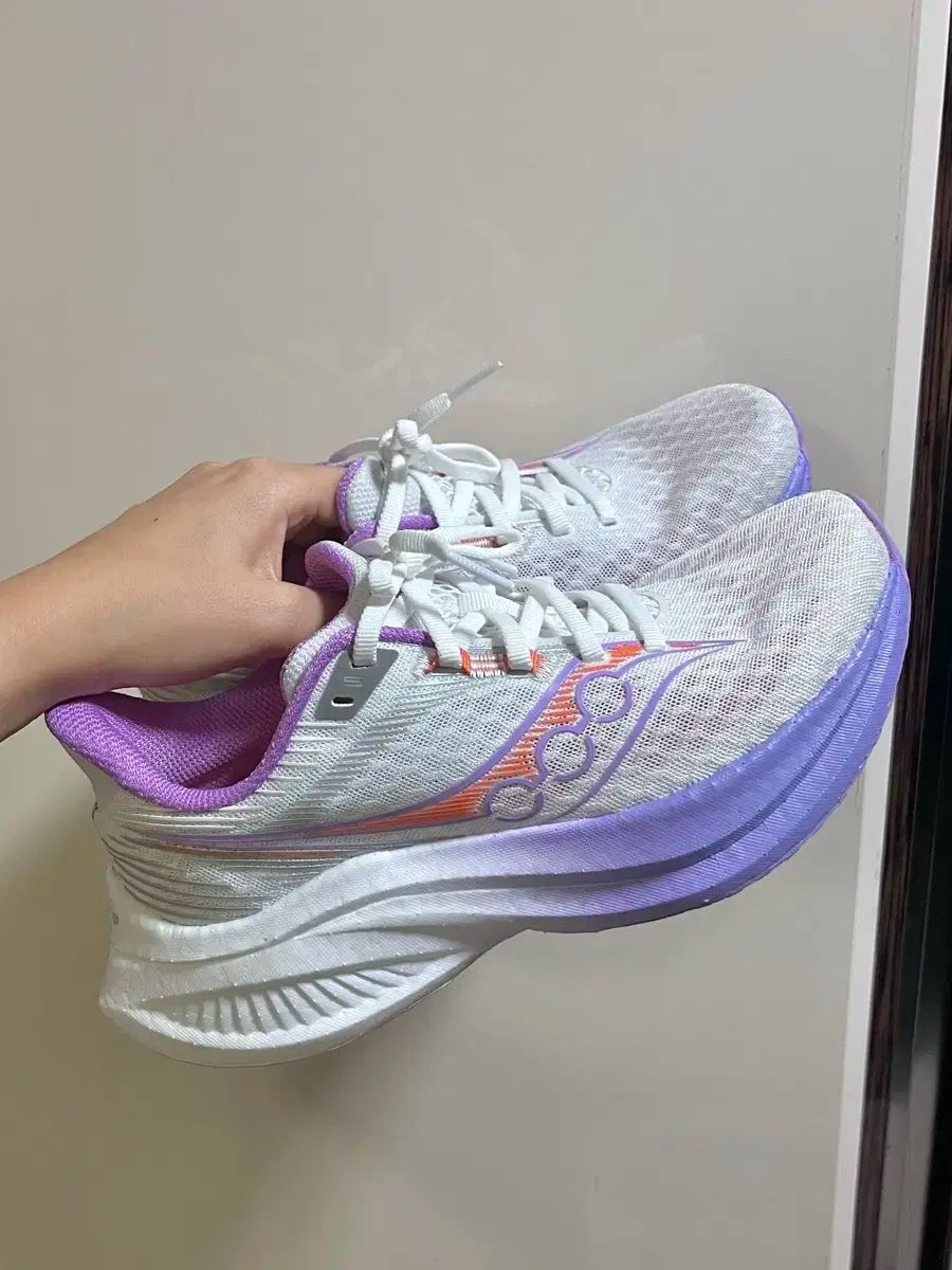 Saucony サッカニー エンドルフィン スピード 5 ランニングシューズ 235 陸 1 刺身