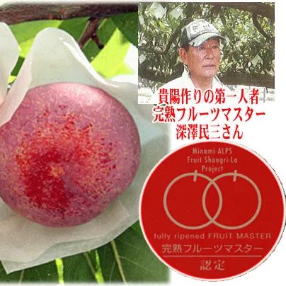 山梨県産すもも【貴陽/きよう】1.5kg箱（大玉5-7玉入） 7月下旬