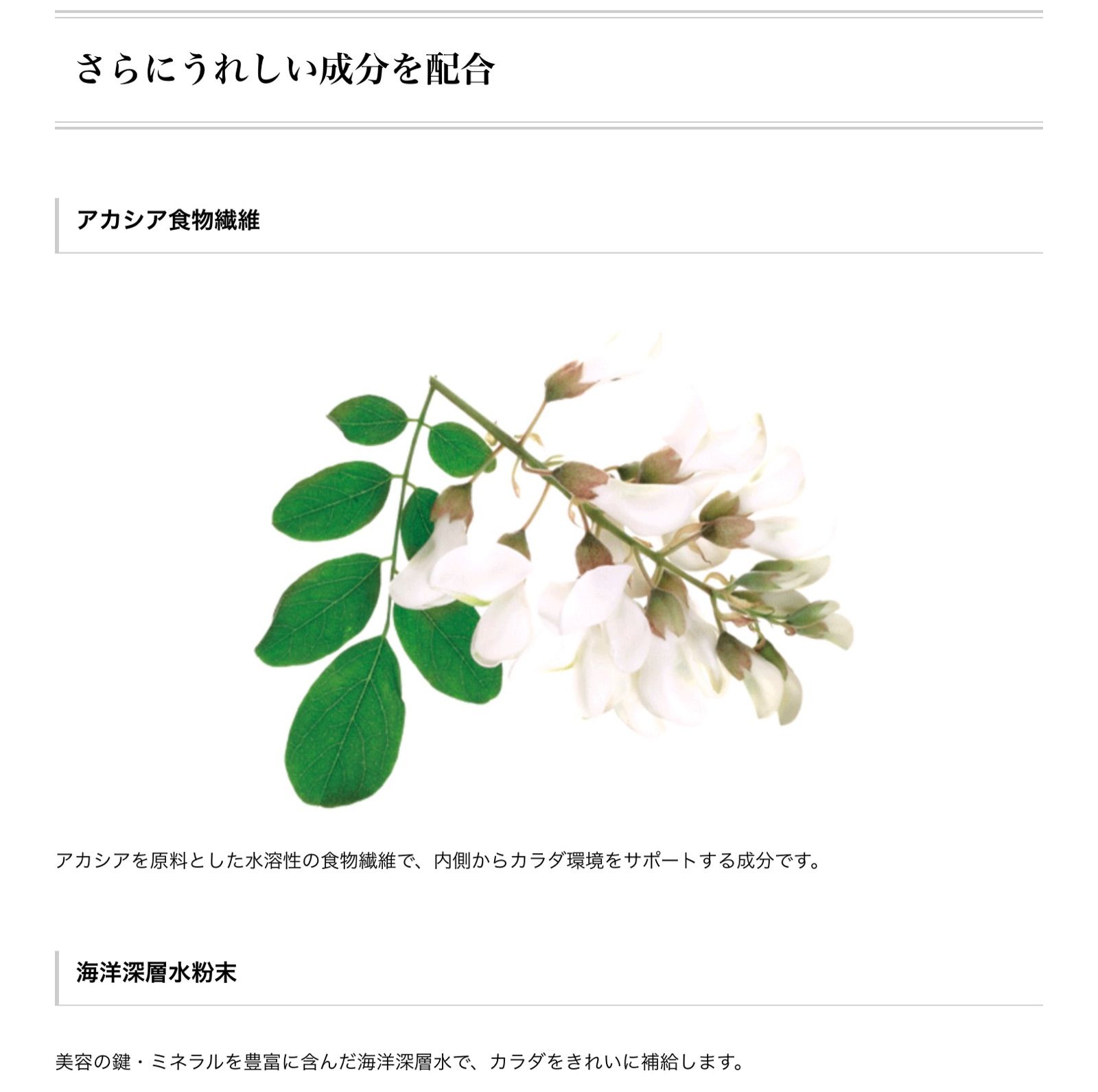 クレンズ 38g