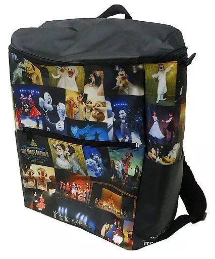 ディズニーリゾート　イマジニング・ザ・マジック　リュック ディズニーランド ワンマンズドリーム イマジニングザマジック