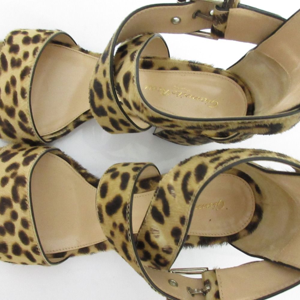 ジャンヴィトロッシ