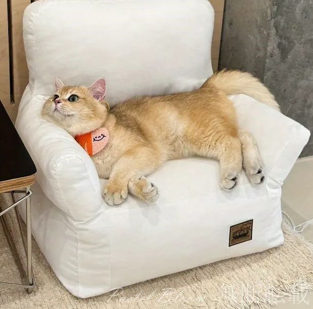 ペットソファ ブラウン ホワイト スクエア 四角 ペットベッド 猫ベッド 犬ベッド ふわふわ あごのせ シンプル かわいい おしゃれ 高品質 室内 春 夏 秋 冬 通年 ペット用品 犬用 猫用 小型犬 中型犬 小型猫 中型猫 大型猫