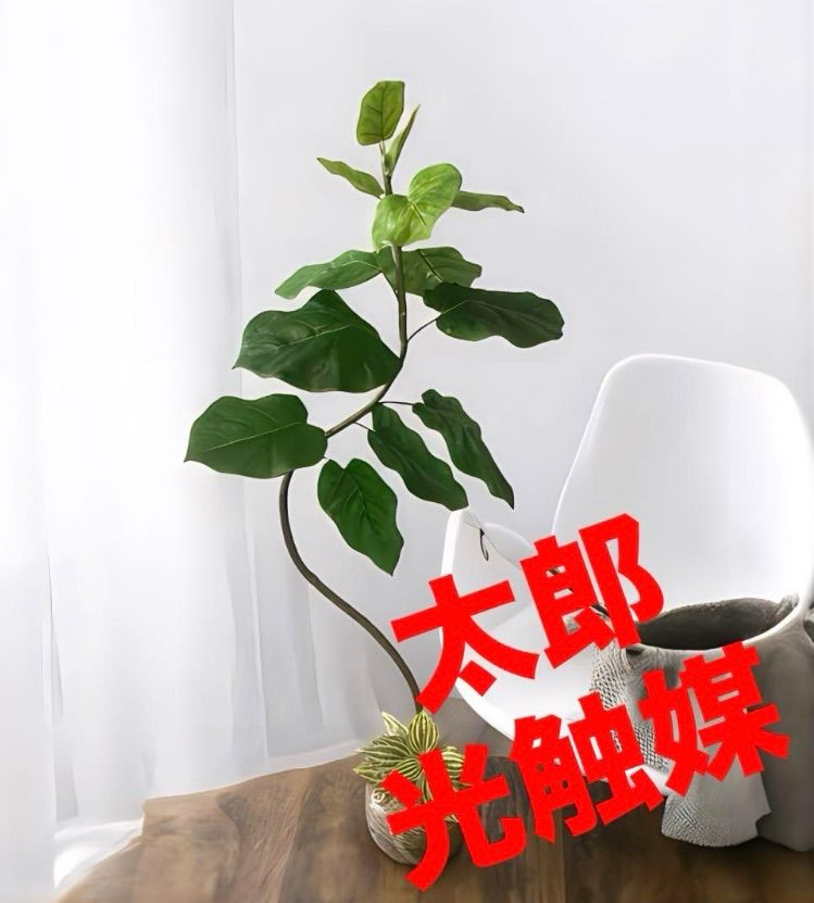 観葉植物 造花 ベンジャミナスプラッシュリアナ (ベンジャミン) 150cm
