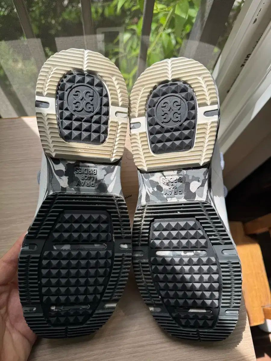 M's GRACY ❁ カメリアワンピース 36 ブラック M'S GRACY 2024 Summer