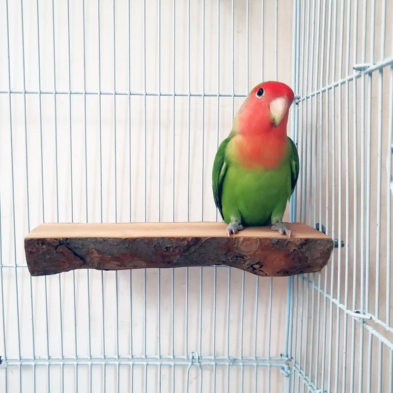 鳥 止まり木 2個セット ステージ 鳥用止まり木 階段 遊び場 天然木