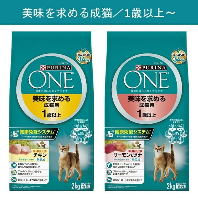 グレインフリー キャット
