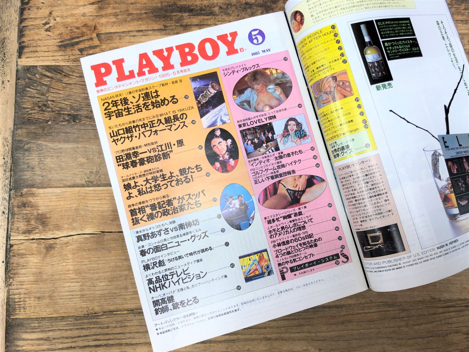 月刊PLAYBOY日本版No.119 1985年5月号【雑誌】プレイボーイ - メルカリ