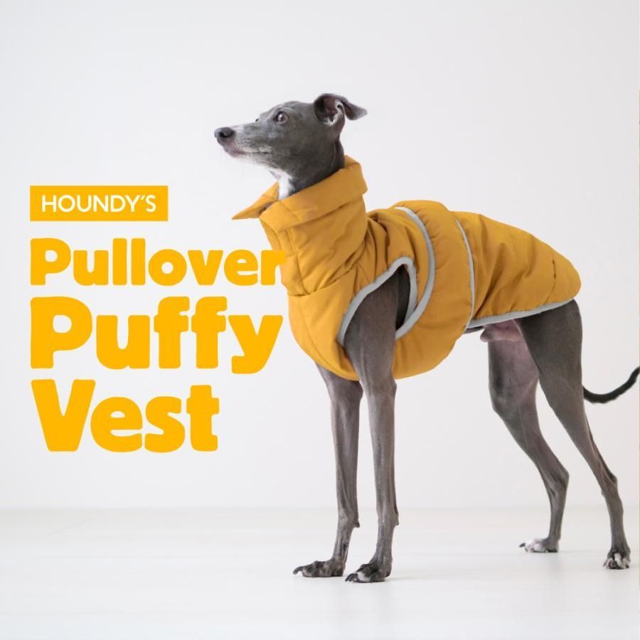 カンチェンジュンガ 水晶 しかもスノーフレーク✩.*˚