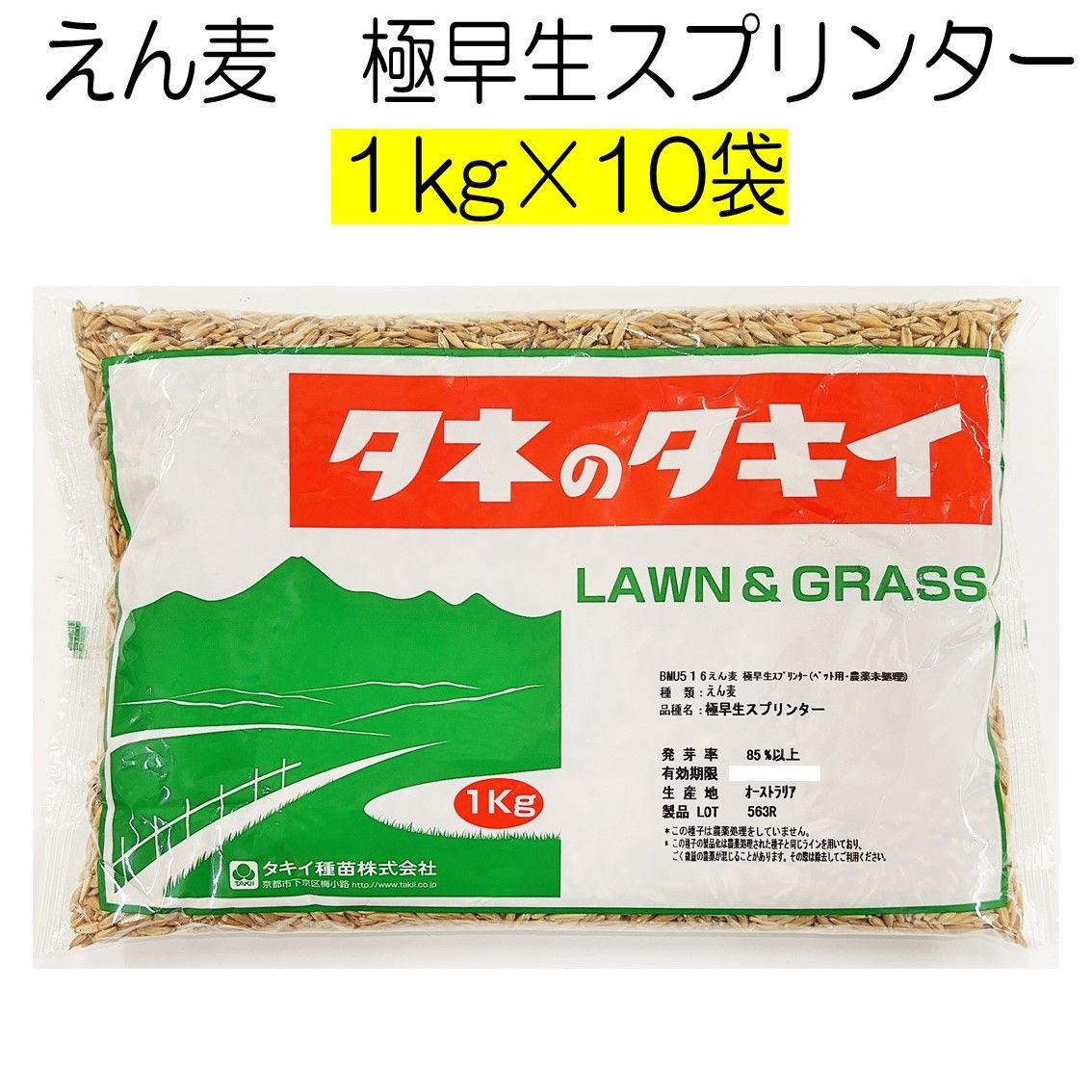 えん麦種子 早生スプリンター ペット用 農薬未処理 10kg 種 タキイ種苗 牧草の種 猫草 ウサギ