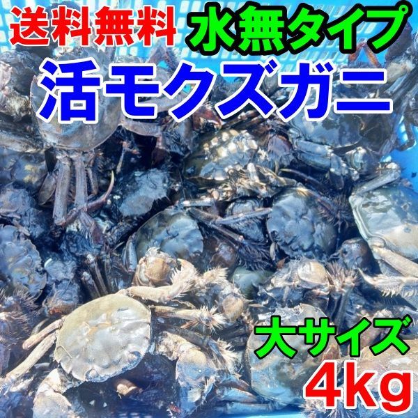 活モクズガニ「【海水なしタイプ】 大サイズ４kg」(目安18-30杯) ツガニ つがに 宮城県松島湾産 配送地域四国中国九州沖縄の方におススメ 他に大サイズも出品中 もくずがに