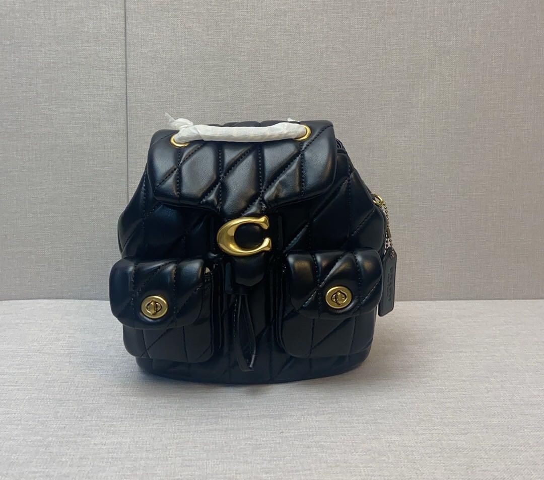 新品未使用 COACH レディース バックパック CU076