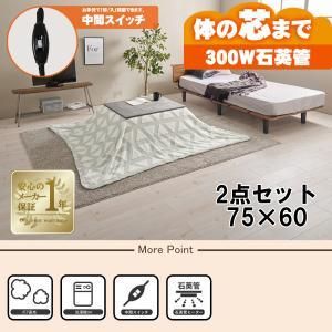2営業日で発送 HAGIHARA 萩原 こたつ うす掛け布団 2点セット カルテス7560MGY スノウ7560TGY 北海道 沖縄 離島配送不可