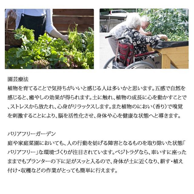 菜園生活 家庭菜園