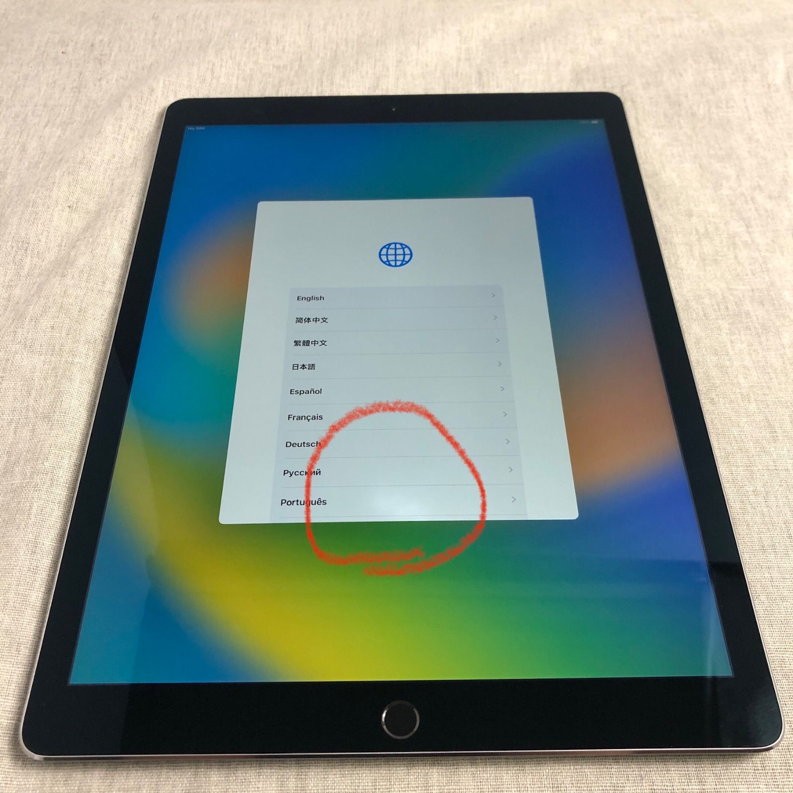 訳アリ特価】iPadPro 第1世代 12.9インチ 256GB【ホワイトスポット有 
