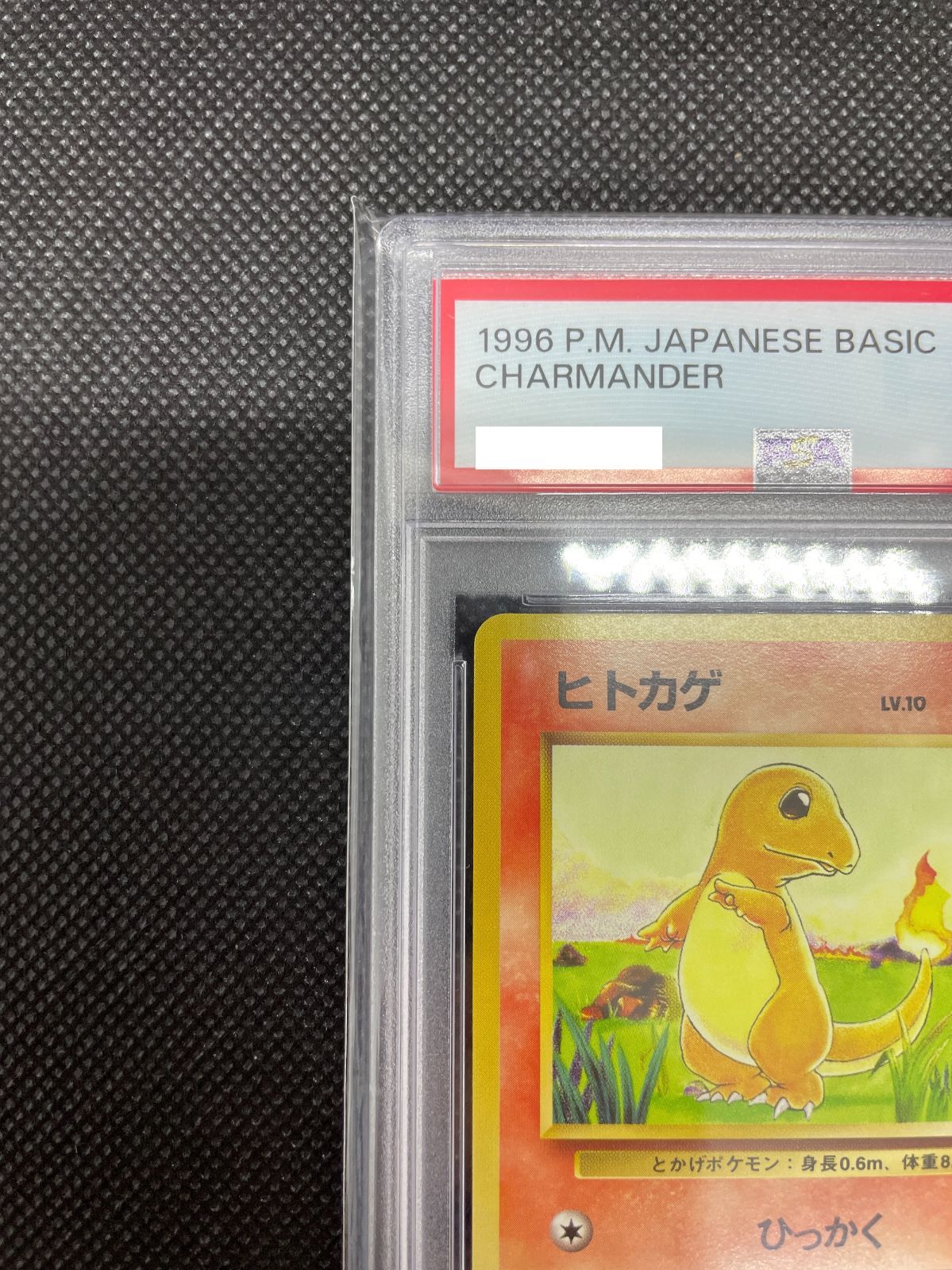 PSA鑑定品】旧裏 ヒトカゲ LV.10 PSA10 ポケモンカード 拡張パック第一