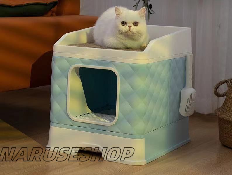 ハウス 屋外