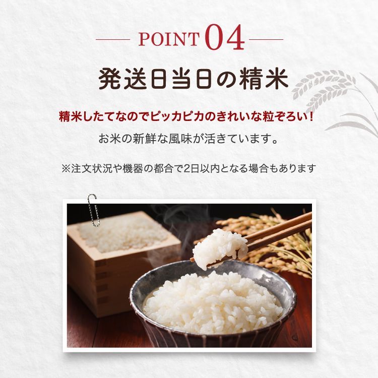 白米　10時までの注文で最短当日発送　米　数量限定　豊穣　お米　もったい米　メルカリ　5kg（5kg×1）　送料込み　5キロ　HJ5