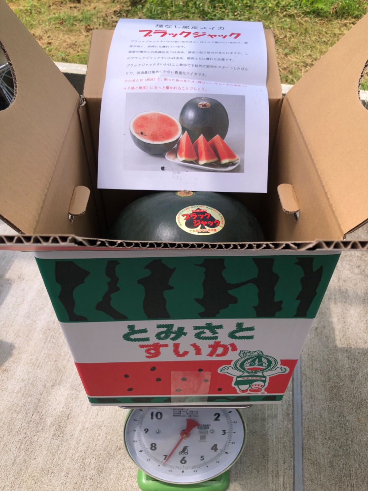 送料込み！富里産 ブラックジャック（種無し黒皮スイカ） 大玉