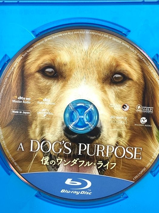 僕のワンダフル・ライフ NBCユニバーサル・エンターテイメント