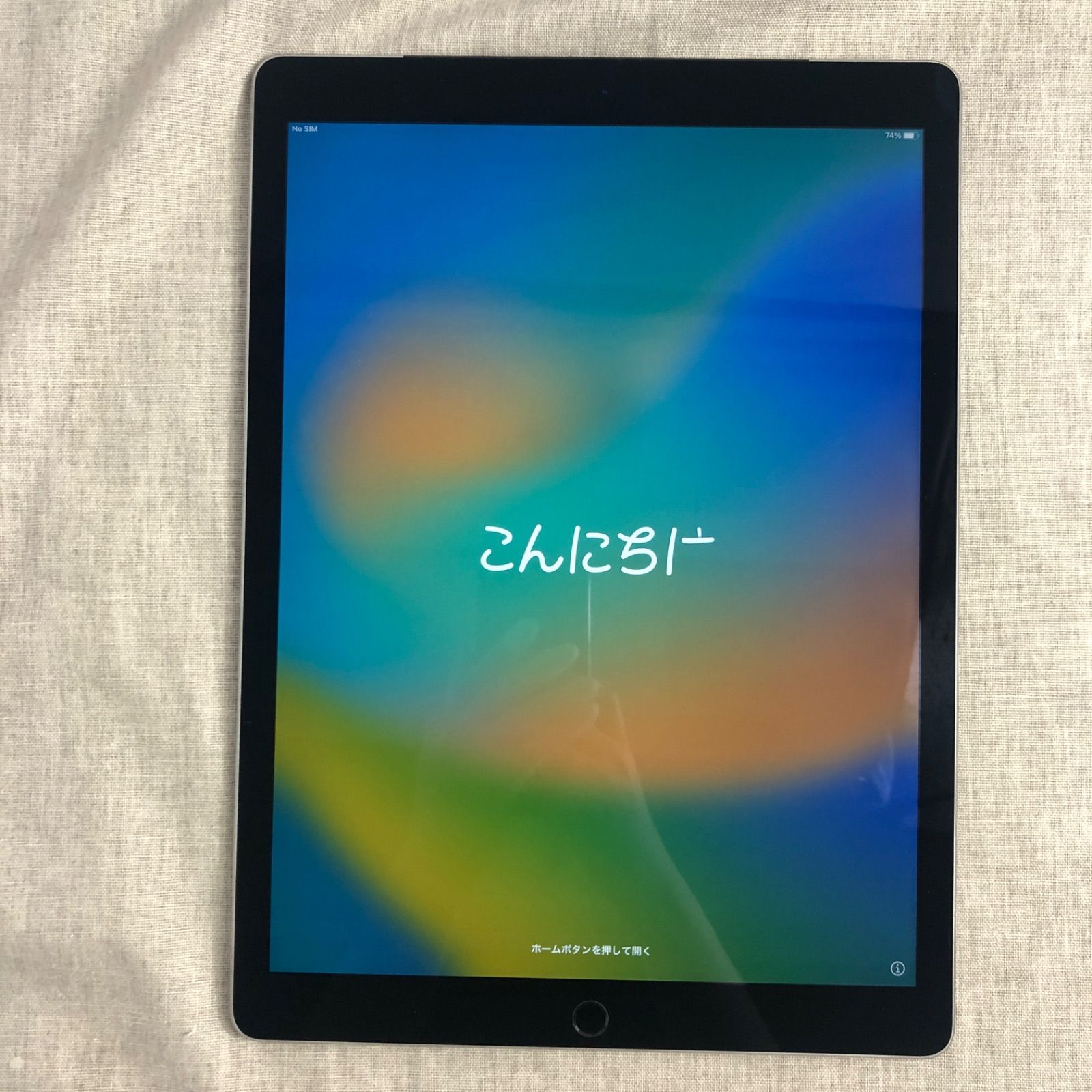訳アリ特価】iPadPro 第1世代 12.9インチ 256GB【ホワイトスポット有 
