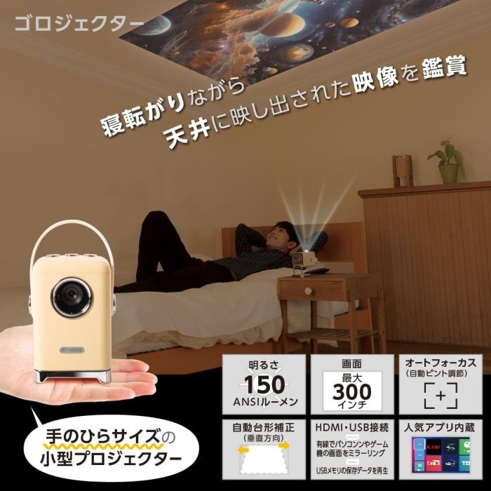4営業日で発送 LITHON