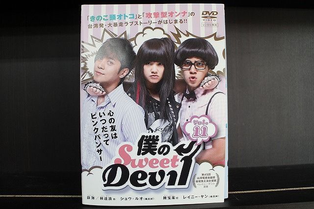 僕のSweet Devil」DVD 全11巻 ショウ・ルオ レイニー・ヤン - TVドラマ