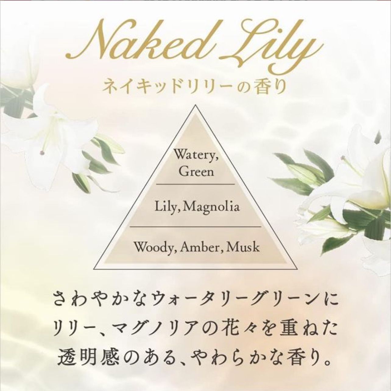 詰替 1200ml×6個
