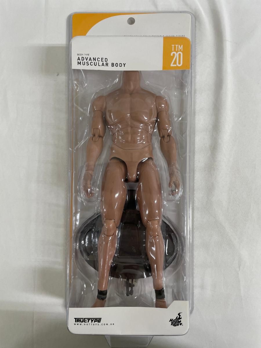 ホットトイズ・トゥルータイプ 1/6 素体 白人男性(マスキュラー・ボディー) ホットトイズ・トゥルータイプ】1／6スケールフィギュア素体