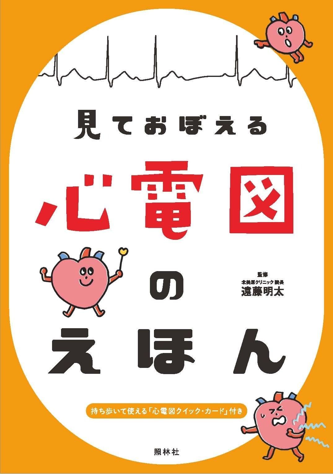 45R 藍カディ3000デニムマーサーパンツ えみおわす ヨーガンレール