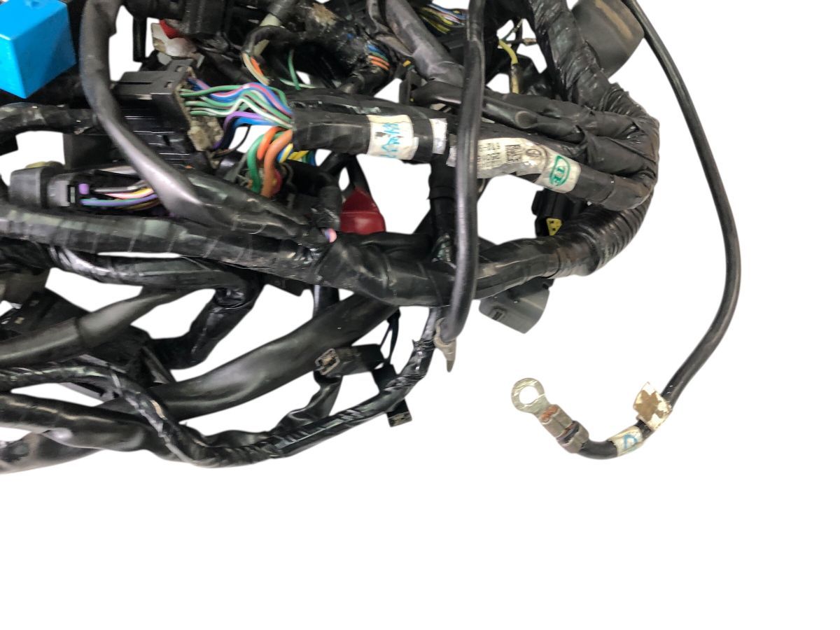 全品全国送料無料！ トライアンフ ストリートトリプルR 08-12 メインハーネス 配線 補修 流用 カスタム用にも 2736-M5217 経験