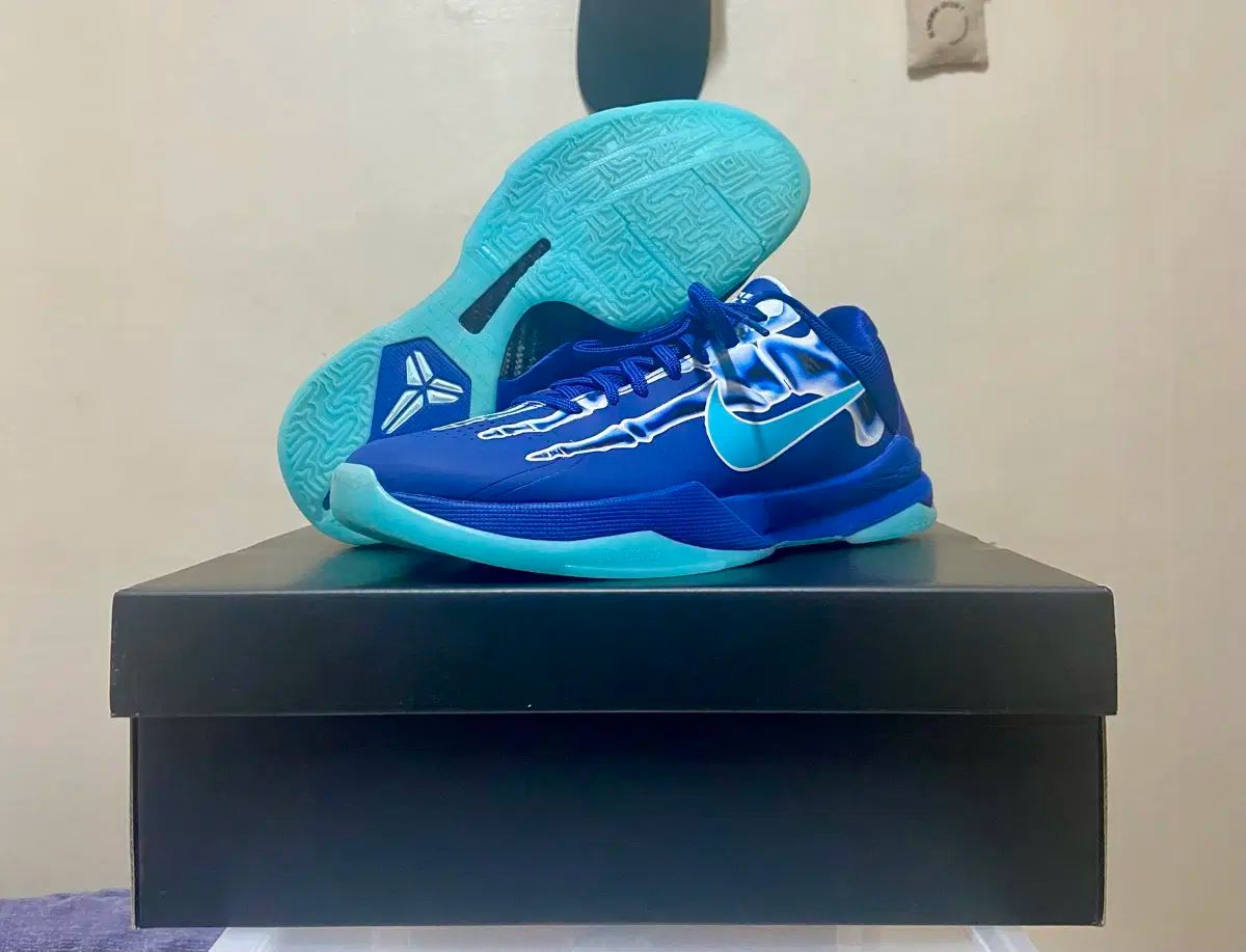 275 NIKE コービー5 プロトロ バスケシューズ