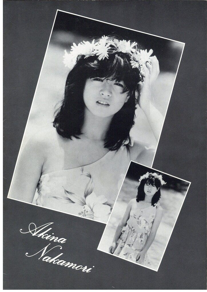 中森明菜　コンサートパンフレット　1982年　17歳 中森明菜 コンサートパンフレット 1982年 17歳
