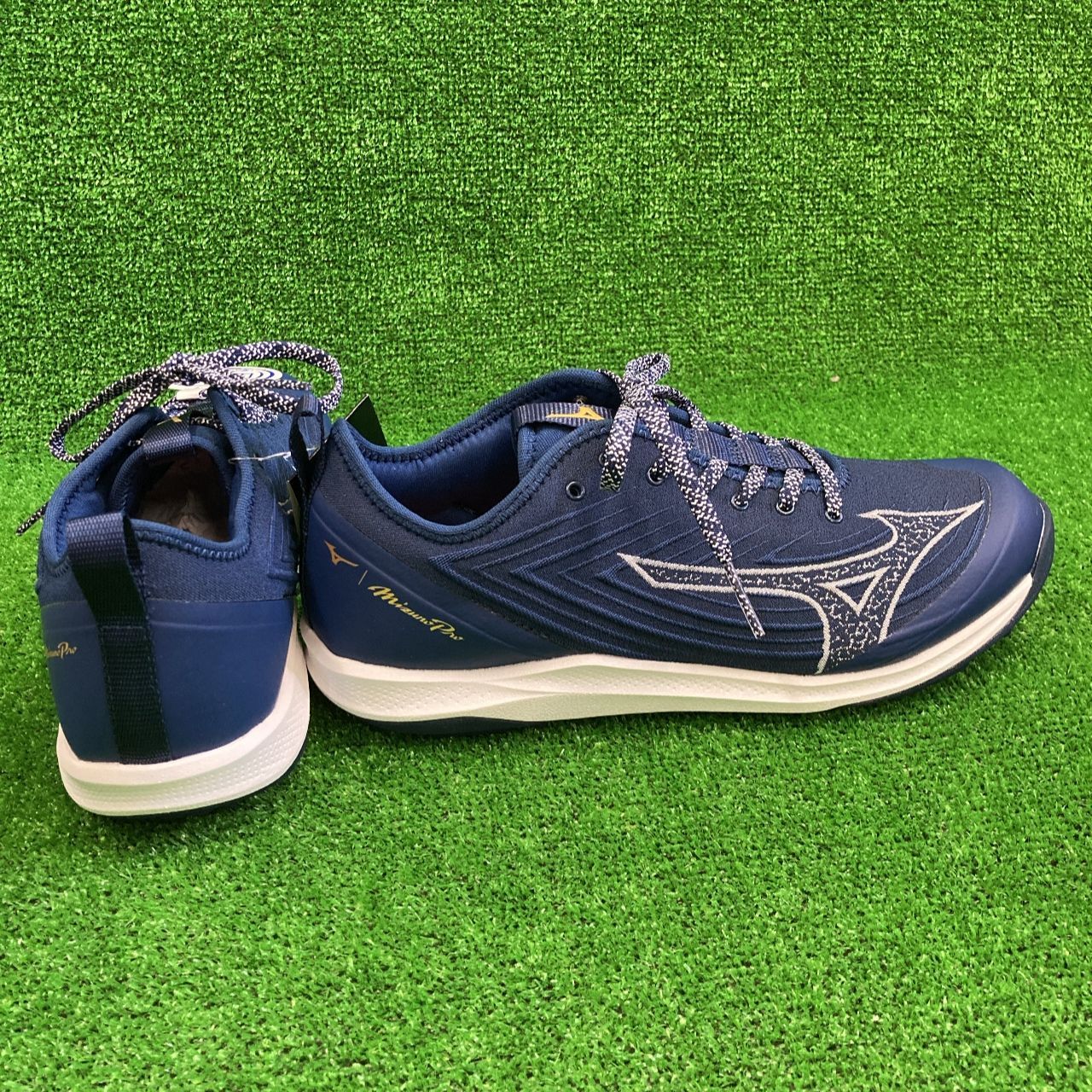 ミズノプロ　トレーニングシューズ MIZUNO ミズノ トレーニングシューズ 野球 シューズ 11GT2201