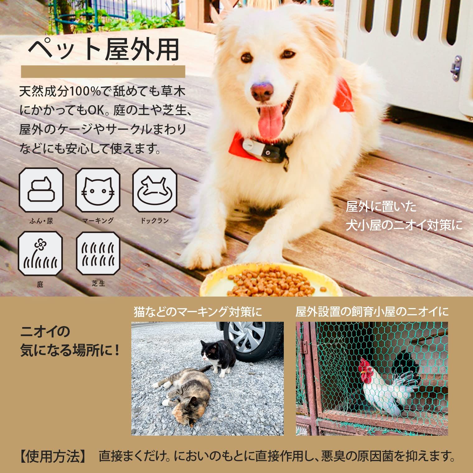 環境大善