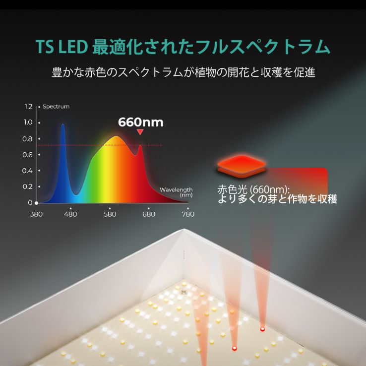 TS-1000 植物育成ライト