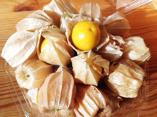 増量中！【スーパーフード】高糖度！食用ほおずき「太陽の子」の種20粒