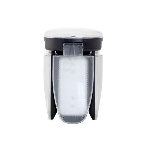 公式 究極品質 秘蔵放出 破邪最強の守護石 幻のスターモリオンのブレス