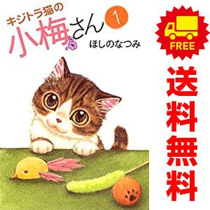 キジトラ猫の小梅さん １～２６巻セット キジトラ猫の小梅さん 1～27巻 までの全巻セット ねこぱんち
